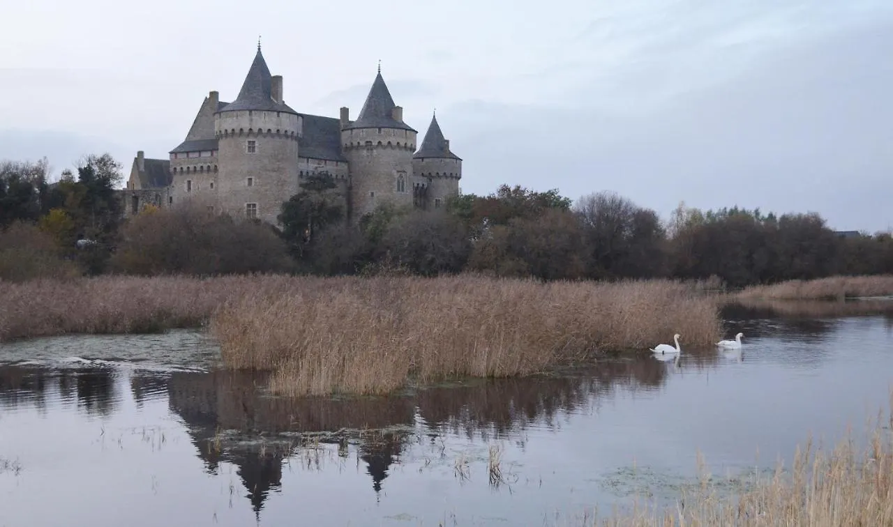 La Maison De Tante Fine - Logis Inis Ruyz سارزو
